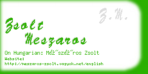 zsolt meszaros business card